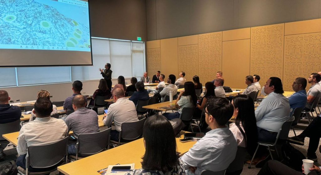 WhatsApp Image 2024-11-25 at 10.17.42 AM