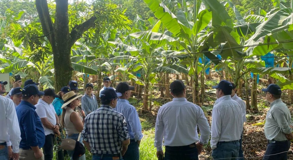 WhatsApp Image 2025-04-24 at 3.47.26 PM