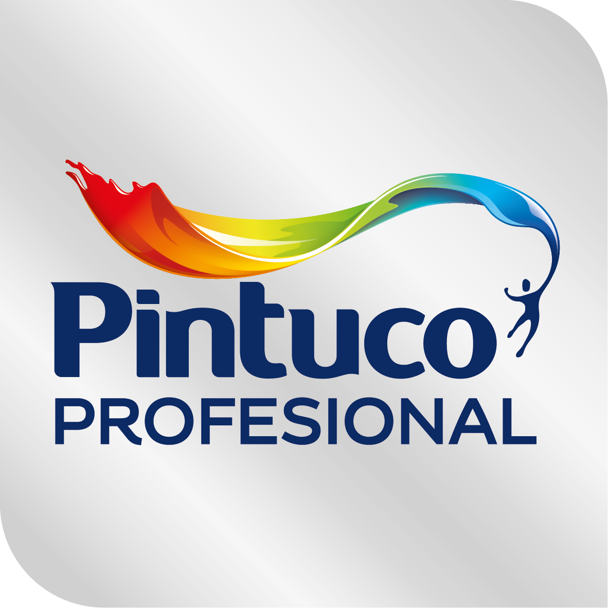 Pintuco Profissional Squircle Logo