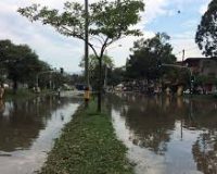 WhatsApp Image 2026-02-13 at 2.19.17 PM