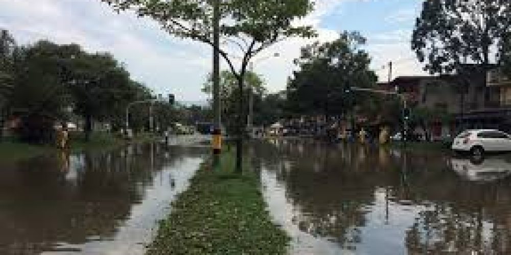 WhatsApp Image 2026-02-13 at 2.19.17 PM